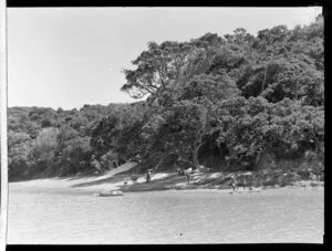 Beach scene, Bay of Islands