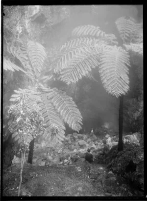 Alum Cave, Orakei Korako