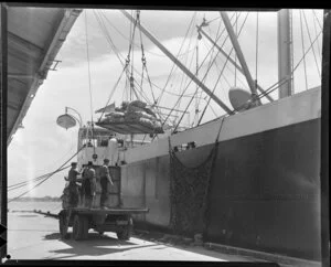 Loading onions at export wharf, Auckland