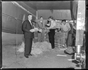 Mr J B Loughland, with a sample of the shipment of pineapples at Whenuapai