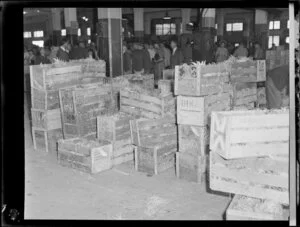 Boxes of pineapples at the city markets, Auckland