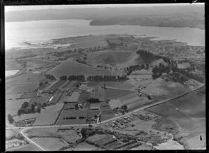 Market gardens, Mangere, Auckland