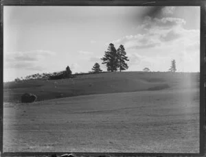 Rural Rangiriri, Waikato