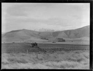 Farming, Southland