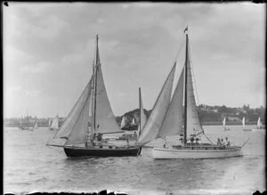 Trans-Tasman yacht race, Auckland harbour