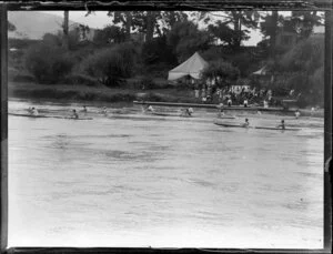 Canoe racing on the river, Waikato