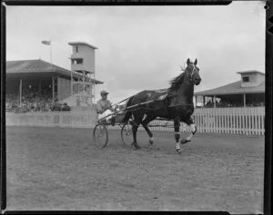 Dominion Trotting Championship, horse Bandbox, Auckland