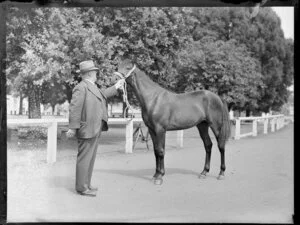 Mr Messenger with top price Yearling 345 gs, Alexandra Park, Auckland