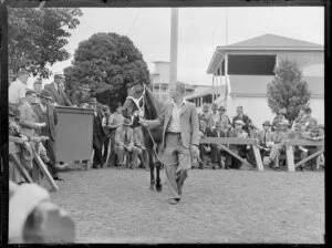 Horse auctions, Alexandra Park, Auckland