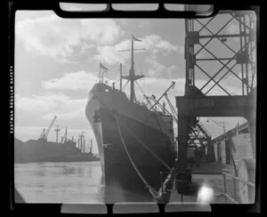 Port Line ship, Port Napier (1947), Auckland Harbour