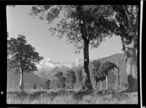 Mount Tasman from Cook River flat, MacKenzie County, South Canterbury