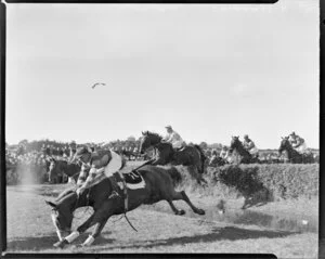 Ellerslie Racecourse, Auckland, Great North Steeples water jump