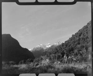 Fox Glacier district, including Mounts Cook and Tasman in the background