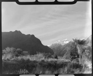 Fox Glacier district, including Mounts Cook and Tasman in the background