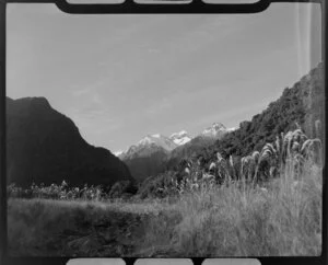 Fox Glacier district, including Mounts Cook and Tasman in the background