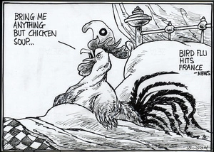 Bird flu hits France - News. "Bring me anything but chicken soup..." 28 February, 2006.