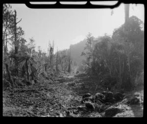 Franz Josef Glacier main road, under construction, Westland