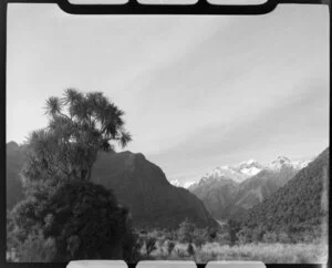 Fox Glacier district, including Mounts Cook and Tasman in the background