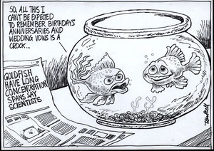 Goldfish have long concentration spans say scientists. "So, all this I can't be expected to remember birthdays, anniversaries and wedding vows is a crock..." 20 February, 2008