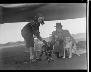 Pan American Airways passenger departure, dogs being sent by Clipper to the USA