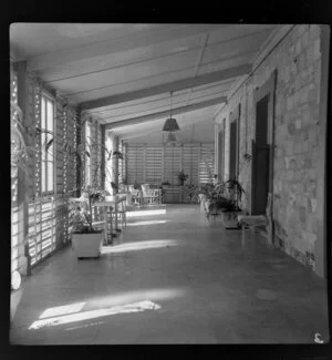 Enclosed verandah with indoor plants, Government House, Darwin, Australia