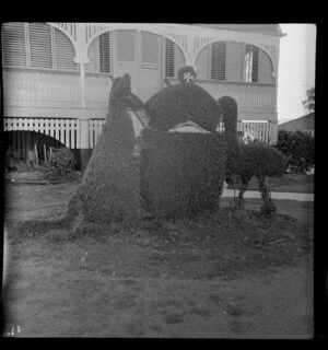 Topiary coat of arms of Australia situated in a suburban garden, Brisbane