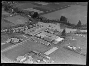 Lee and Arlington Ltd, tannery, Otahuhu, Auckland