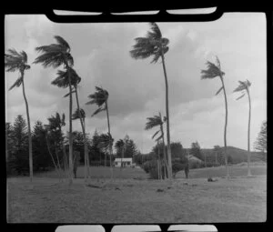 Memorial monument dedicated to Allan Riverstone McCulloch, Lord Howe Island, Australia