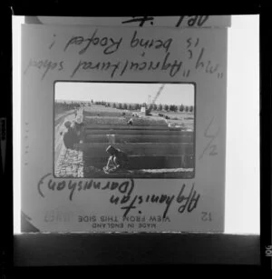 Copy of a photographic slide showing the roof being built on Darwishan Agricultural School in Afghanistan