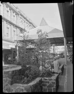 Cuba Street, Wellington, with garden and pergola