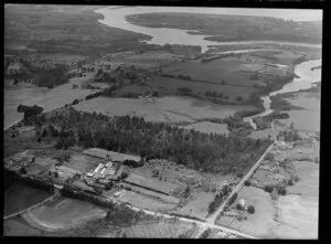 Palmers nursery, Waikumete, Glen Eden, Auckland