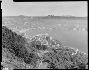 View from Mount Victoria to Wellington harbour