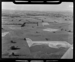 Fields, Morrinsville,Waikato