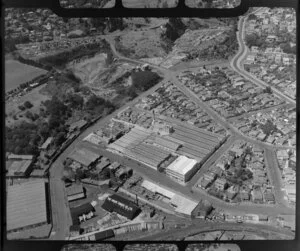 The Kauri Timber Coy Ltd, Mt Eden, Auckland