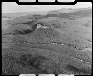 Forest plantations, Atiamuri, Taupo district