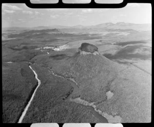 Forest plantations, Atiamuri, Taupo district