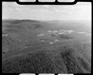 Forest plantations, Atiamuri, Taupo district