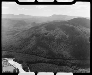 Forest plantations, Atiamuri, Taupo district