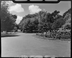 Cornwall Park, Auckland