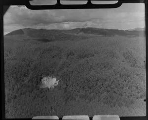 Afforestation, Rotorua area