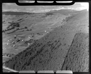 Rotorua area with plantation forest