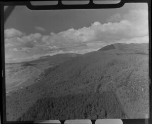 Afforestation, Rotorua area