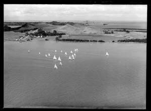 Puketutu Island, Manukau Harbour, Auckland