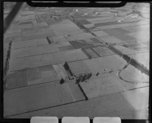 Farmland, Taieri Plain, Dunedin