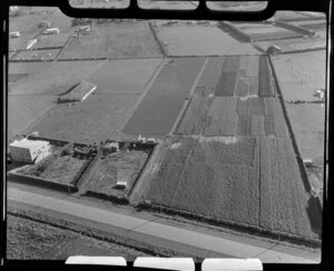 Rural property and gardens, Papatoetoe, Auckland