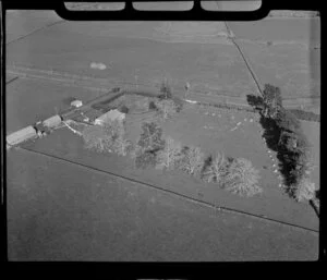 Rural property, Papatoetoe, Auckland