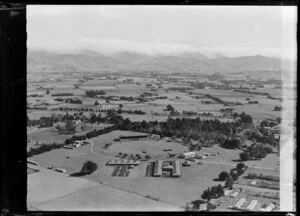 Masterton, including Solway Showgrounds