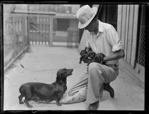 Dachshund bitch watching her puppies being held by an unidentified man