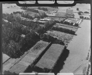 Unidentified rural property, Mangere area