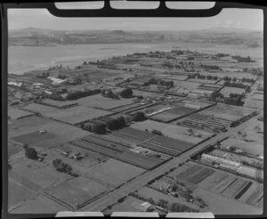 Rural area, Favona, Mangere